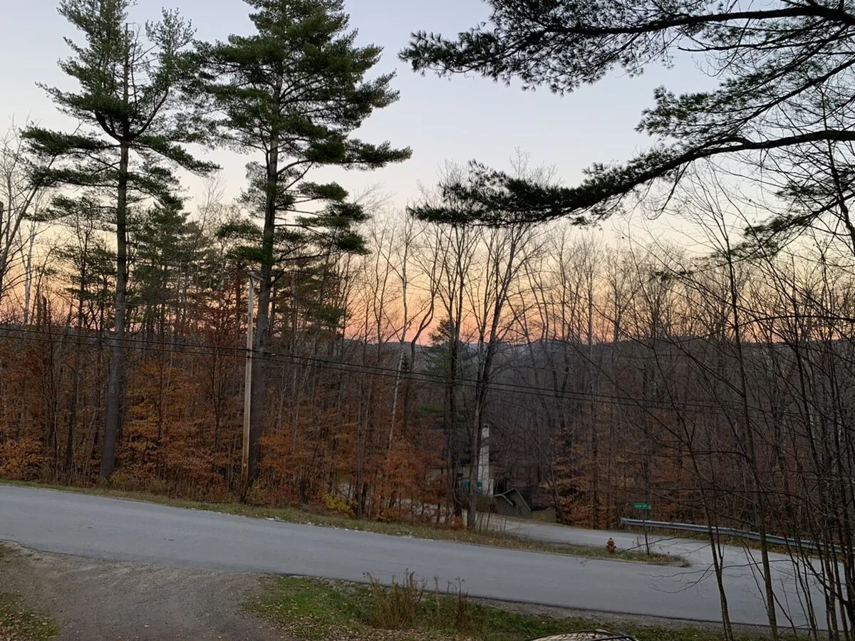 This exterior image captures tall pine trees dusted with brilliant autumn foliage under a glowing sunset sky. The serene natural setting evokes the beauty of Okemo Mountain's landscape and hints at the outdoor adventures waiting just steps from the property.