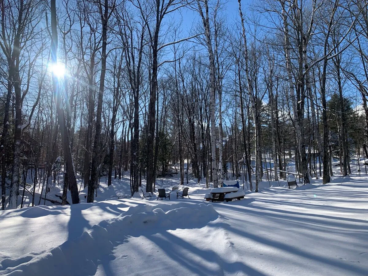 A tranquil outdoor seating area nestled in a snowy, wooded setting. Sunlight streams through the trees, illuminating a collection of comfortable chairs arranged around a fire pit. The snow-covered ground and surrounding forest suggest a peaceful, secluded retreat perfect for relaxation and evening gatherings.